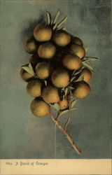 A Bunch of Oranges Postcard
