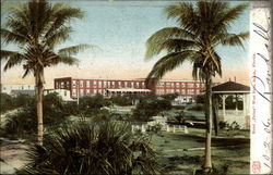 Hotel Palma Postcard