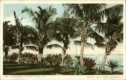 A Corner in the Park Postcard
