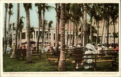 Afternoon Concert Hour at Royal Poinciana Postcard