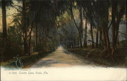 Lovers Lane Ocala, FL Postcard Postcard