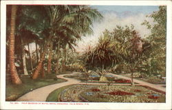 Palm Gardens of Hotel Royal Poinciana Postcard