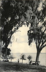 Riverside at St. John's River Palatka, FL Postcard Postcard