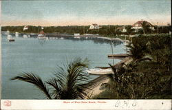 Shore of West Palm Beach Florida Postcard Postcard