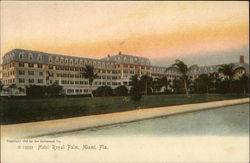 Hotel Royal Palm Postcard