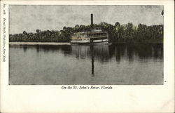 On the St. John's River Florida Postcard Postcard