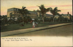 Hotel Royal Palm Miami, FL Postcard Postcard