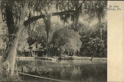 Lake and House De Leon Springs, FL Postcard Postcard
