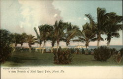 Grounds of Hotel Royal Palm Miami, FL Postcard Postcard