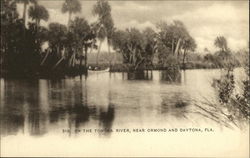On the Tomoka River Postcard