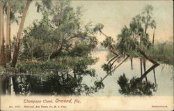 Thompson Creek Postcard