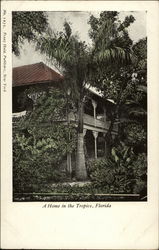 A Home in the Tropics Florida Postcard Postcard