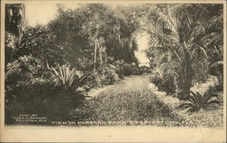 View in Hubbard Park Postcard