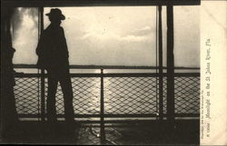 Moonlight on the St. Johns River Postcard