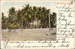 A Tropical Home Welaka, FL Postcard Postcard