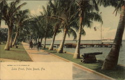 Lake Front Lake Front
