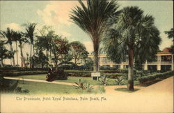 The Promenade Hotel Royal Poinciana Palm Beach, FL Postcard Postcard