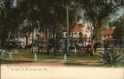 A Bit of Daytona Postcard