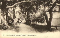 The River Road Between Ormond and Daytona Daytona Beach, FL Postcard Postcard