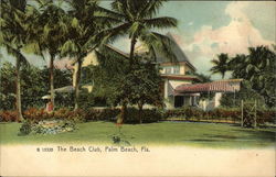 The Beach Club The Beach Club