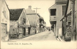 Charlotte Street St. Augustine, FL Postcard Postcard