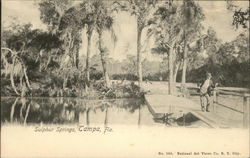 Sulphur Springs Postcard