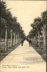 Ocean Avenue Palm Beach, FL Postcard Postcard
