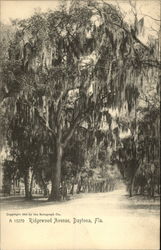 Ridgewood Avenue Postcard