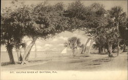 Halifax River at Daytona Postcard