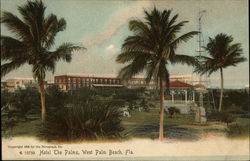 Hotel The Palms Postcard