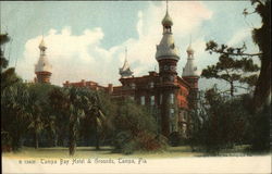 Tampa Bay Hotel & Grounds Postcard