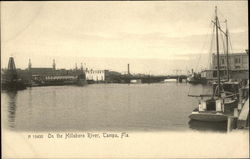 On the Hillsboro River Postcard