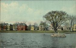 Broadway Park, Looking across the Pond Somerville, MA Postcard Postcard Postcard