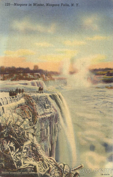 Niagara in Winter Niagara Falls New York