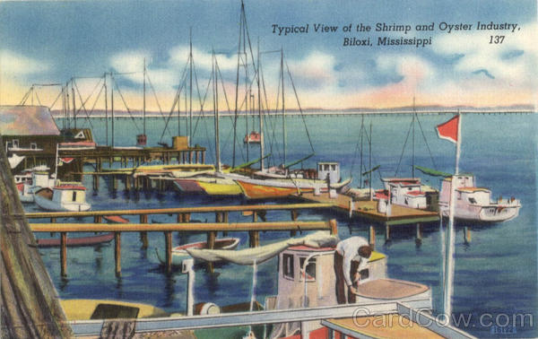 Typical View of the Shrimp and Oyster Industry Biloxi Mississippi