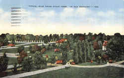 Typical Blue Grass Stock Farm Postcard