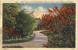 Sumac Trail, Kenosha County Park Postcard