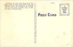 back