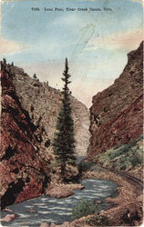 Lone Pine Postcard