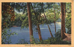 Greetings from Central Lake Michigan Postcard Postcard