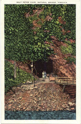 Salt Peter Cave Natural Bridge, VA Postcard Postcard