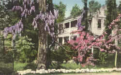 One of the Flower Town's Lovely Residences Hand Colored Postcard