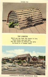 Lobsterman's Shanties Lobster Trap Postcard