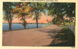 Highway Along Lake Assawampsette Middleboro, MA Postcard Postcard
