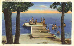 Come in The Water is Fine Swimming Beach Postcard
