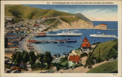 Picturesque Bay of Avalon Postcard