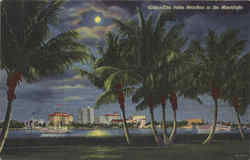 The Palm Beaches in the Moonlight West Palm Beach, FL Postcard Postcard