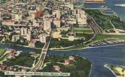 Looking Across Miami River Postcard