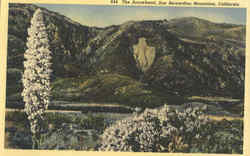 The Arrowhead, San Bernardino Mountains Postcard