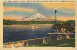 Scenic Grandeur Along The Lake Washington Boulevard Showing Mount Rainer Postcard